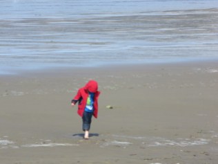 This little one was not deterred by cold sand.
